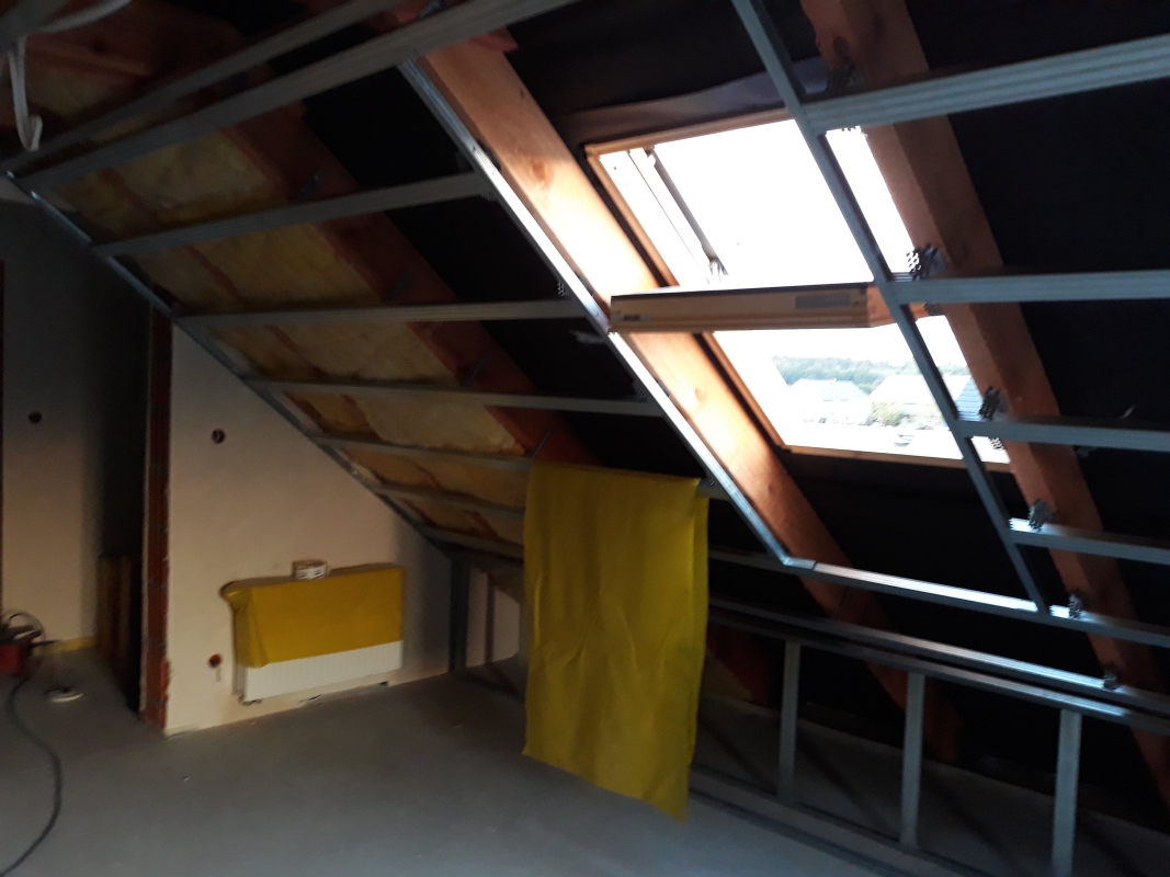 Zdjęcie do wpisu: Ariel :)